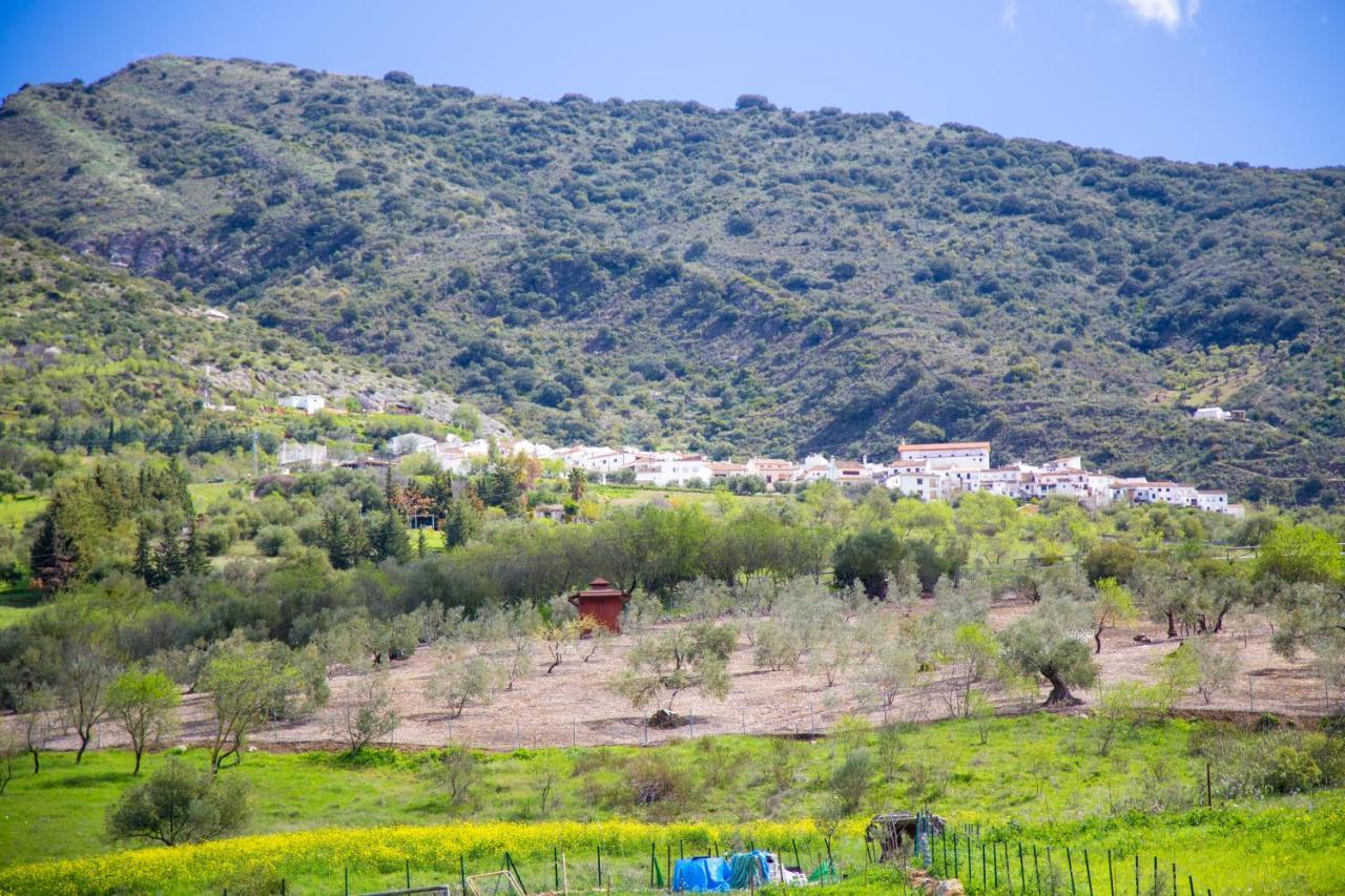 Hotel Rural Inz-Almaraz Jimera de Líbar Екстериор снимка